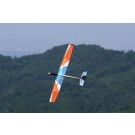 Pilot Nutmeg 2 Glider (Kit)